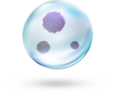 Bio Aerosols 9 microns